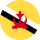 Brunei flag