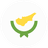 South Cyprus flag
